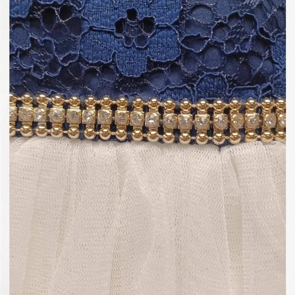 American Princess Blue And  White Tulle Dress Size 12M - Picture 6 of 8